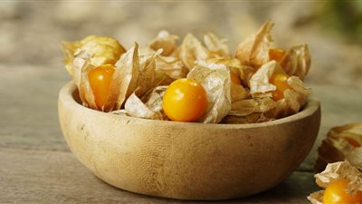 له قيمة غذائية عالية، فوائد الحرنكش، تناوله مهم لزيادة المناعة