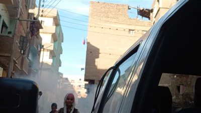 جهود مكثفة للقضاء على مسببات الأمراض في قنا (صور)