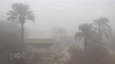 الشبورة تؤثر على الرؤية على طرق الغربية (فيديو وصور)