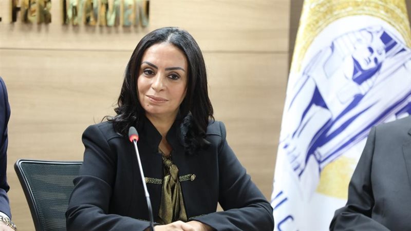 الدكتورة مايا مرسي،