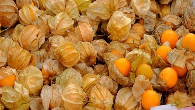 أسعار الفاكهة في