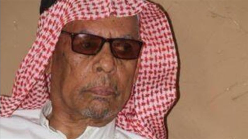 الفنان السعودي علي