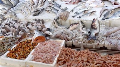 أسعار الأسماك اليوم، 65 جنيهًا أقل سعر لكيلو السردين في سوق العبور 