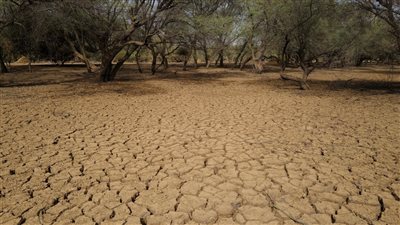 نائب أمام الشيوخ: أكثر من 30% من الأراضي الزراعية مهددة بالتصحر 