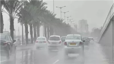  شبورة كثيفة وأمطار خفيفة، الأرصاد تعلن طقس الأيام المقبلة