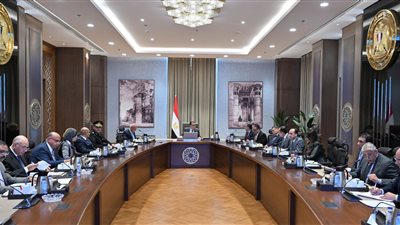 رئيس الوزراء: تكليفات رئاسية بإعطاء أهمية خاصة لهذا الملف 