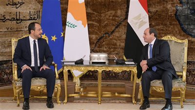 تفاصيل القمة المصرية القبرصية بالقاهرة (فيديو)