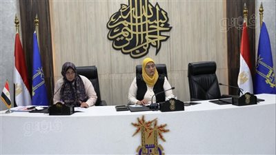 نائب محافظ أسوان تناقش مشروعات الخطة الاستثمارية للعام المالي الحالي بنسبة تنفيذ 45% 