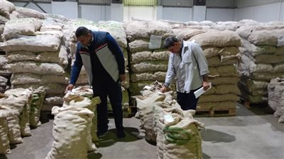 ضبط تقاوي بطاطس دون إفراج جمركي داخل محطة حاصلات زراعية بالبحيرة (صور)