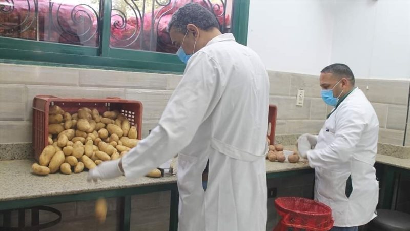 مشروع العفن البني