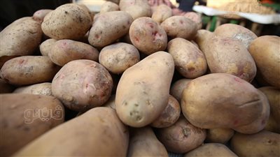 أسعار الخضراوات اليوم، 9 جنيهات أقل سعر لكيلو البطاطس في سوق العبور