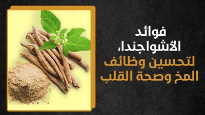 فوائد الأشواجندا، لتحسين وظائف المخ وصحة القلب (إنفوجراف)