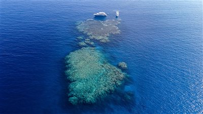 تضم 40 دولة، مساع أمريكية لإنشاء قوة دولية لحماية الملاحة في البحر الأحمر