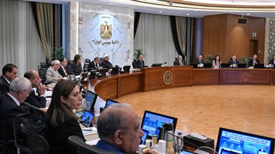 الحكومة تناقش موقف مصر في ملف سد النهضة 