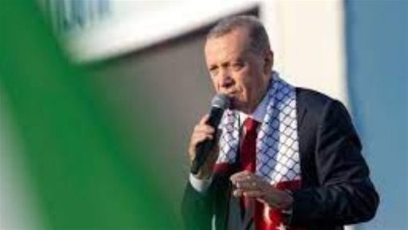 أردوغان، فيتو 
