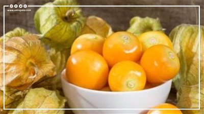  فوائد الحرنكش لصحة الجسم (إنفوجراف)