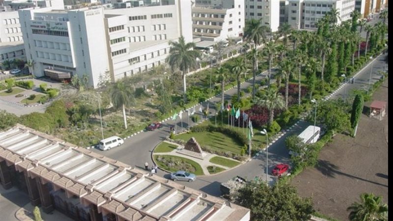 جامعة المنصورة، فيتو