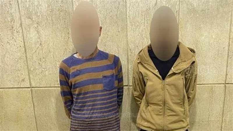 سقوط 10 عناصر إجرامية،