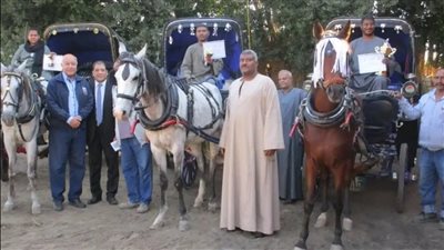مديرية طب الأقصر تنظم مسابقة لخيول الحنطور وتكرم الفائزين