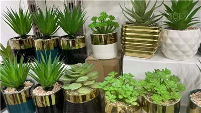  ألوان جذابة ونضارة دائمة، الأشجار الصناعية زينة العرائس في البيوت (فيديو وصور)