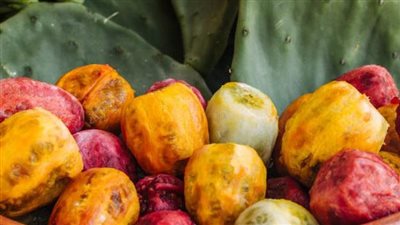 يصل لـ 50 جنيهًا، ننشر أسعار التين الشوكي في الأسواق