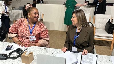 نيفين الكيلاني تقترح مساهمة صندوق الخسائر والأضرار في إعداد محتوى ثقافي فني لخدمة البيئة 