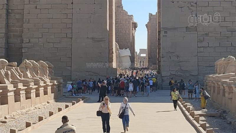  اعداد السائحين الوافدين