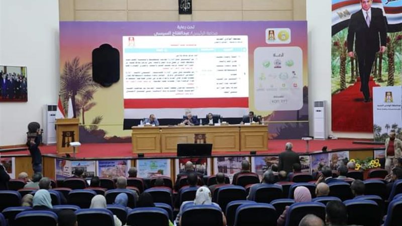 المجلس التنفيذي للوادي