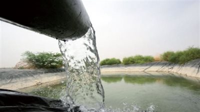 تحسين مياه الآبار بالملوخية، بحث علمي مشترك بجامعة طيبة التكنولوجية 