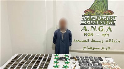 ضبط 90 طربة حشيش و6 كيلو بانجو وأسلحة خلال اقتحام بؤرة إجرامية بسوهاج