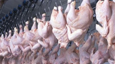 تعرف على أسعار اللحوم البيضاء في الأقصر 