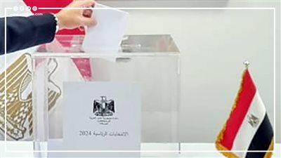 أرقام في الانتخابات الرئاسية 2024 (انفوجراف) 