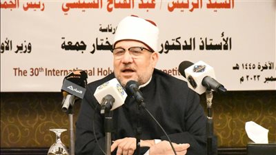 وزير الأوقاف: لم أشاهد فى حياتي إقبالا على الانتخابات بهذا الحشد 