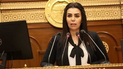 النائبة سها سعيد لـ صالون التنسيقية: الرئيس القادم أمامه 6 سنوات حاسمة