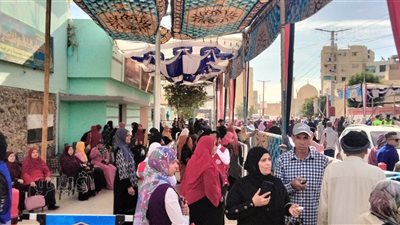 سلاسل بشرية وزحام في لجان انتخابات الرئاسة بالوادي الجديد (فيديو) 