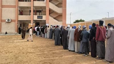إقبال كثيف على لجان المغتربين في الانتخابات الرئاسية بالوادي الجديد (فيديو)
