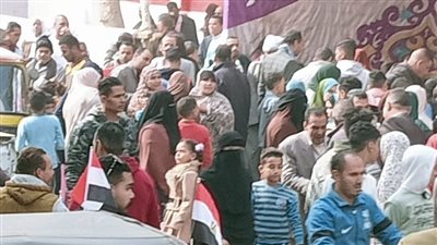 إقبال طلاب جامعة الفيوم المغتربين للإدلاء بأصواتهم في لجنة مدرسة الصداقة الفرنسية