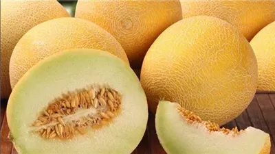 تفسير رؤية الكنتالوب في المنام وعلاقتها بالحظ الجيد والأخبار السارة 