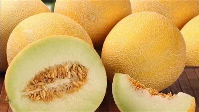 تفسير رؤية الكنتالوب