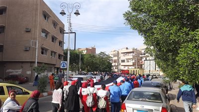 مسيرة بأطول علم في قنا لحث المواطنين على المشاركة في الانتخابات(فيديو وصور)