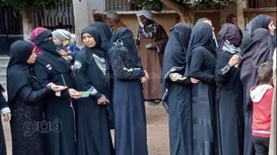 الانتخابات الرئاسية 2024 في المنيا.. السيدات وكبار السن يتصدرون المشهد.. أئمة الأوقاف أول الحاضرين.. والمحافظ يدلي بصوته في لجنة المغتربين 