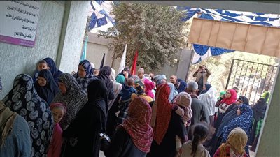 السيدات يتصدرن المشهد في الانتخابات الرئاسية بلجان محافظة أسيوط (فيديو)