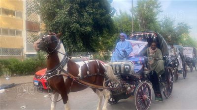  مسيرة بالحنطور تجوب شوارع أسوان لحث المواطنين على المشاركة فى الأنتخابات (فيديو)