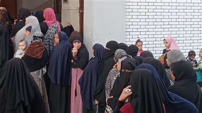 إقبال كثيف من السيدات على لجان قري الفيوم في الفترة المسائية (فيديو)