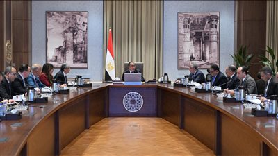 اجتماع برئاسة مدبولي لمتابعة موقف تخصيص أراضي مشروعات إنتاج الهيدروجين الأخضر