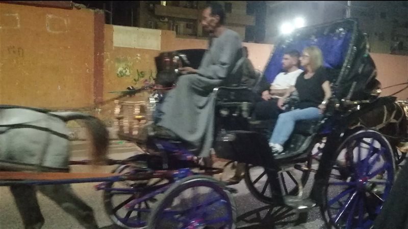نشاط السياحة في الأقصر,
