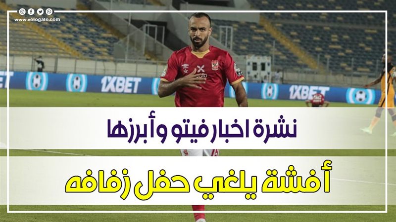 نشرة اخبار فيتو