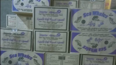 ضبط 52 طن فاكهة مجمدة ومواد غذائية غير صالحة للاستخدام الآدمي بالإسماعيلية | صور