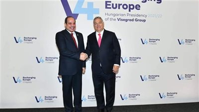 السيسي عن مخاطر الهجرة غير الشرعية: لن نسمح بتعرض الناس للغرق في البحر