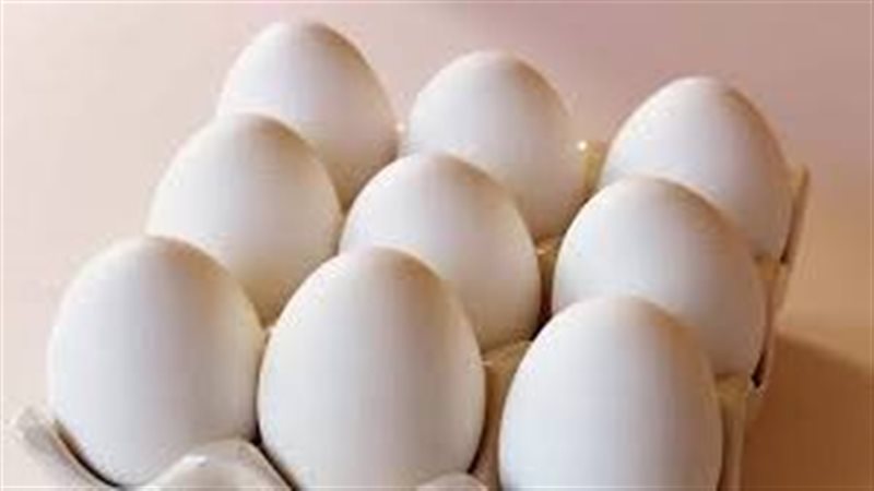 أسعار كرتونة البيض